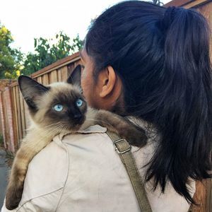 Meet your Posher, Shehana